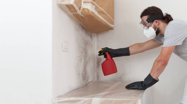 Professional Bathroom Mold Removal technician working in Lebanon, OR