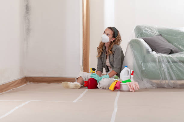 Reliable Bathroom Mold Removal contractor in Lebanon, OR by 24 Hour Mold Removal